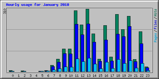 Hourly usage for January 2010